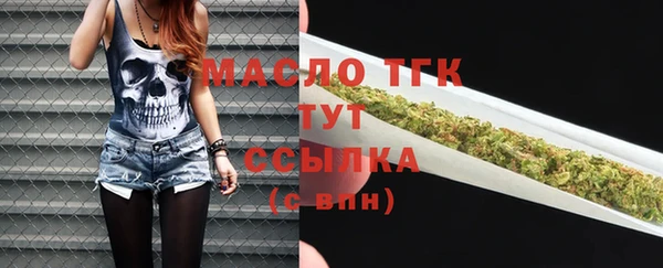 хмурый Магас