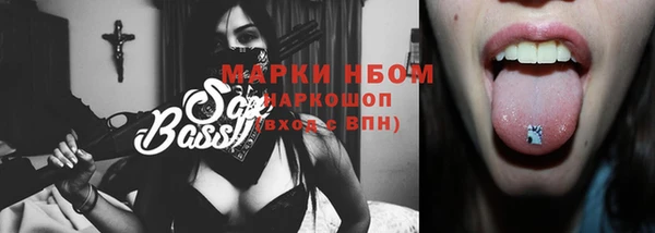 хмурый Магас