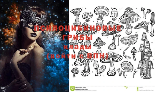 стаф Одинцово