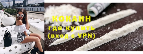 хмурый Магас