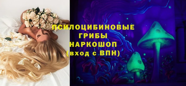 хмурый Магас