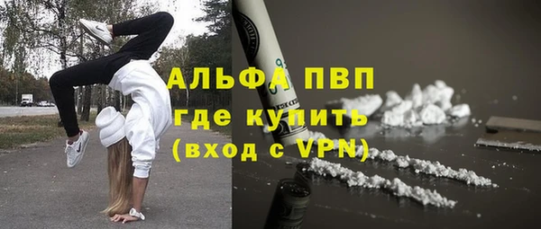хмурый Магас