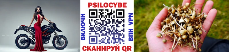 Галлюциногенные грибы Psilocybe  наркошоп  Белая Калитва 