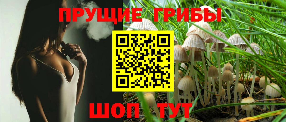 Белая Калитва  Галлюциногенные грибы MAGIC MUSHROOMS  Вход с VPN 
