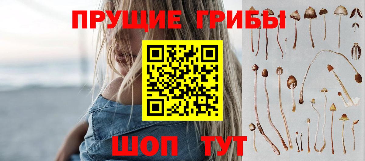 купить наркоту  Белая Калитва  Псилоцибиновые грибы MAGIC MUSHROOMS  Галлюциногенные грибы MAGIC MUSHROOMS 